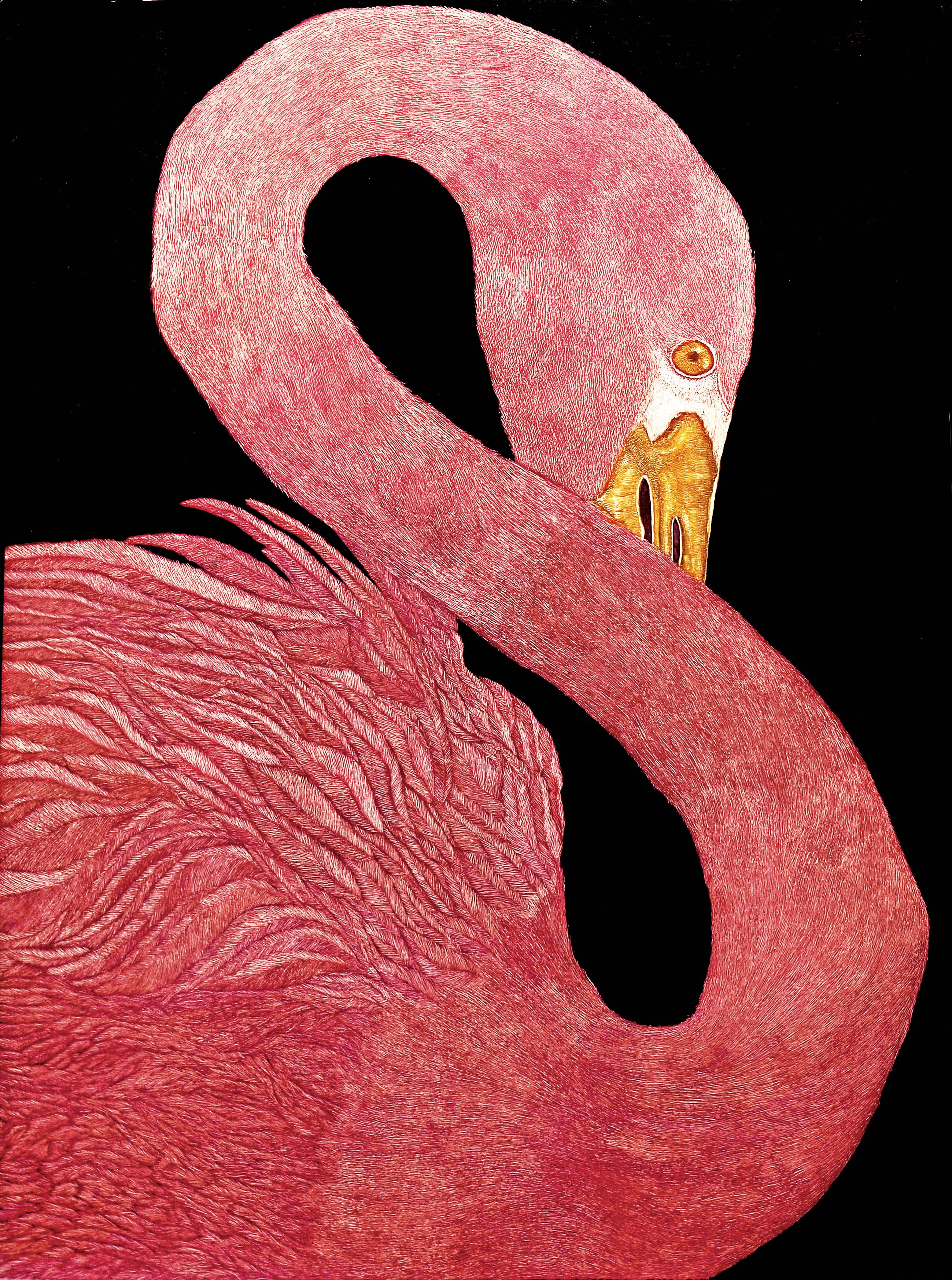 Pinky (Flamingo)